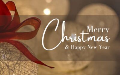 Merry Christmas and Happy New Year from the team at Beautique Secrets