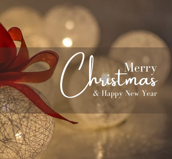 Merry Christmas and Happy New Year from the team at Beautique Secrets